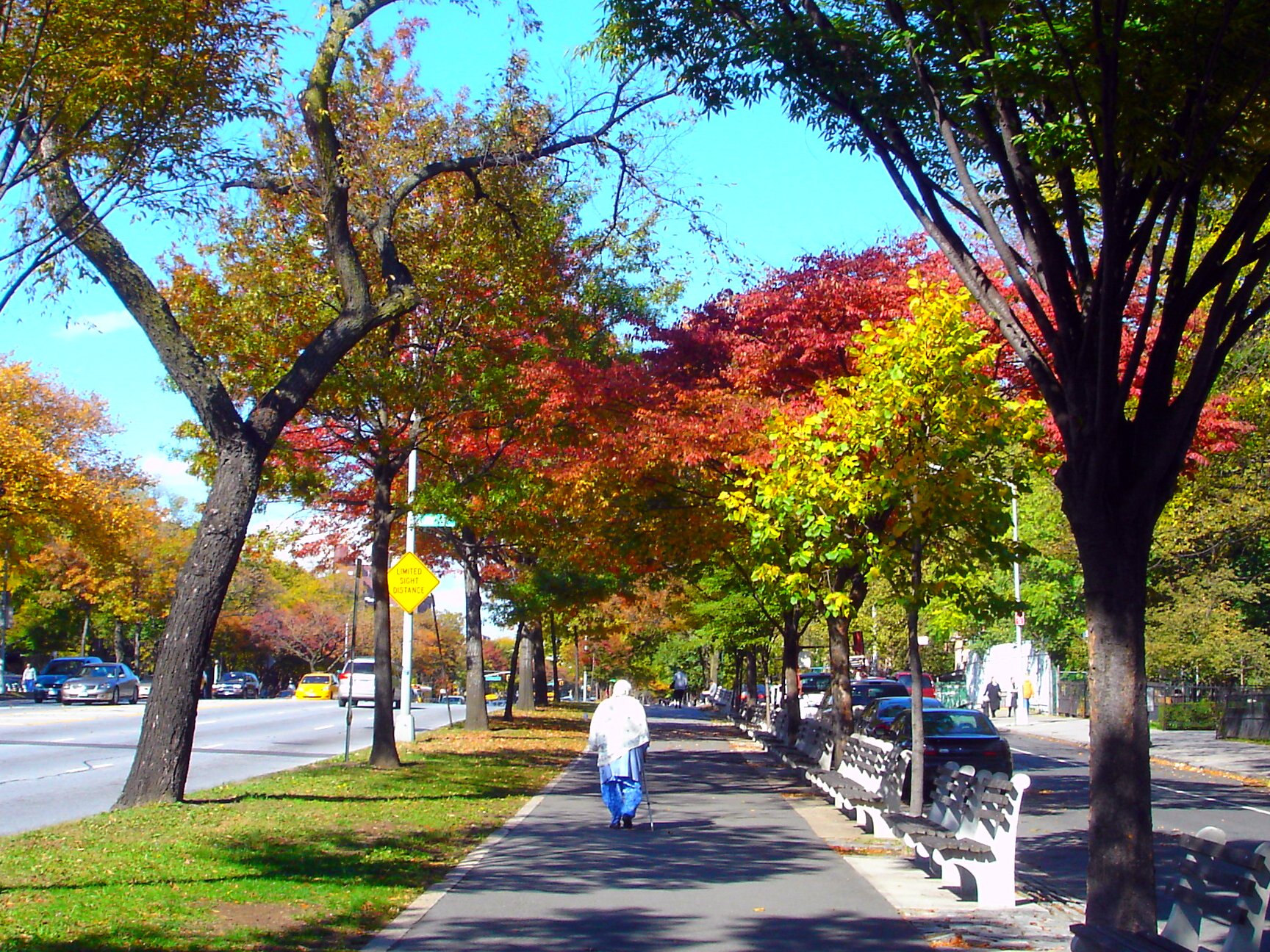 a man walks down the sidewalk between a row of park benches