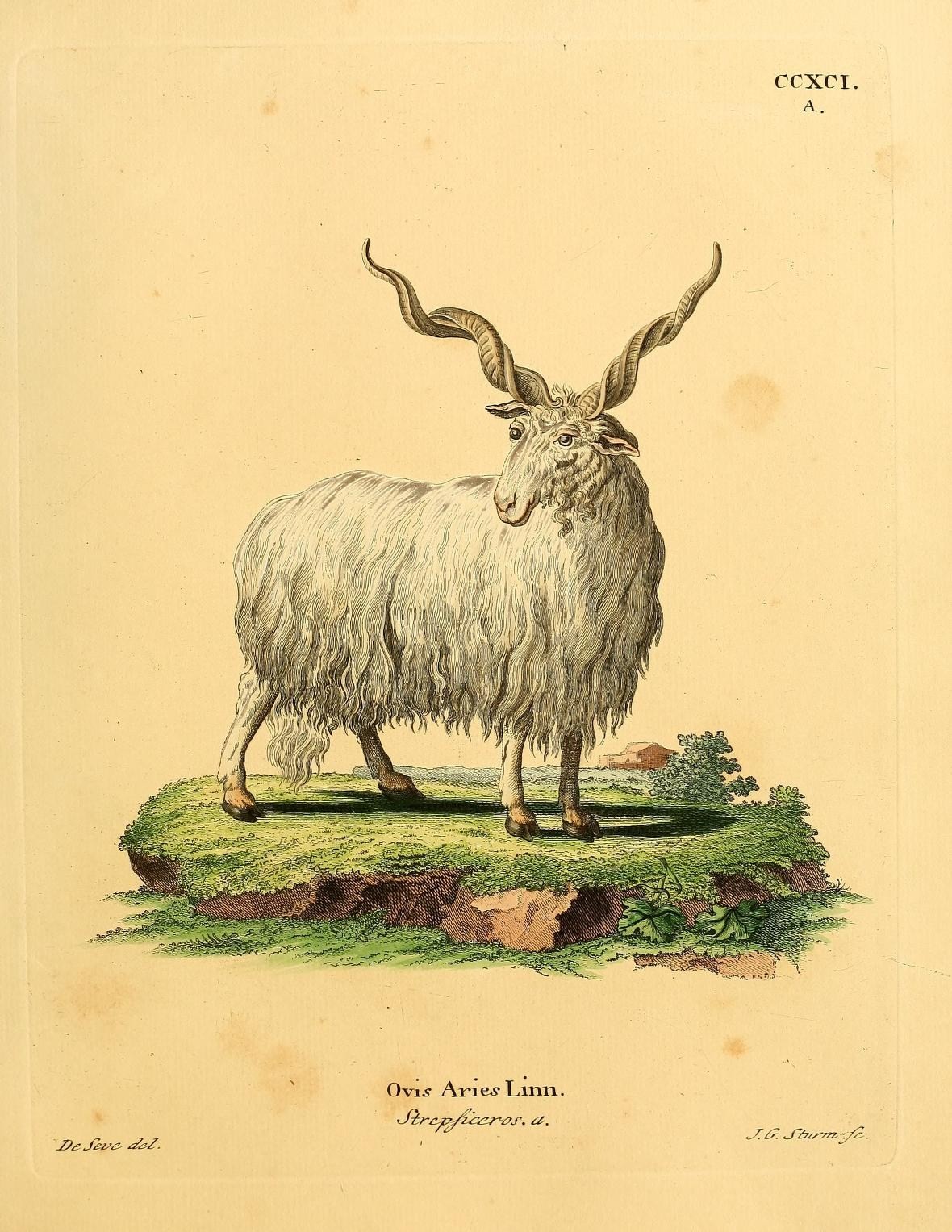 a drawing of a horned animal on the grass