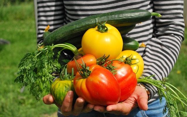 a person holding up some different types of vegetables