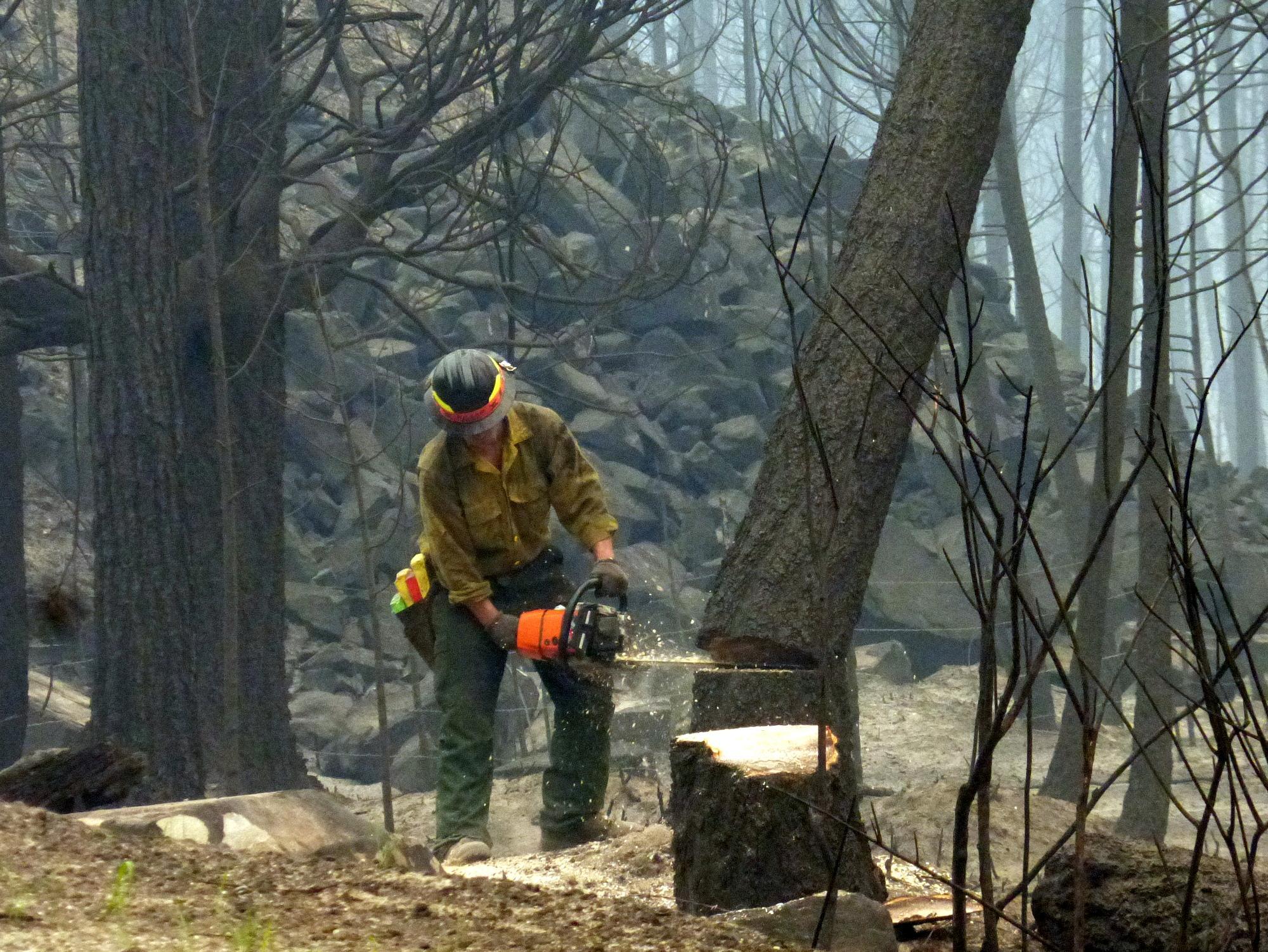 a man cuts through the nches with a chainsaw