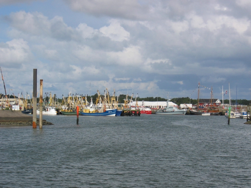 many ships are docked at a large body of water