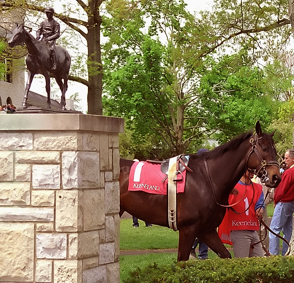 a brown horse is walking next to people