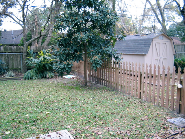 an image of backyard landscaping in spring