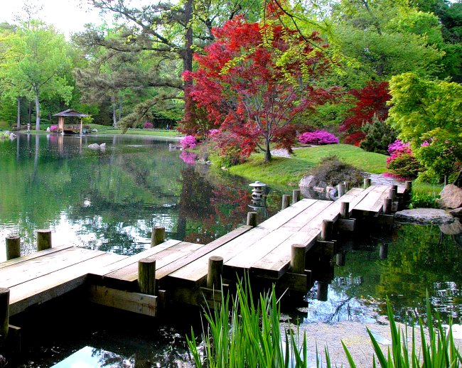 a small dock sitting in a garden by the water