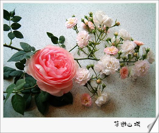 two roses with leaves and flowers that are on the table
