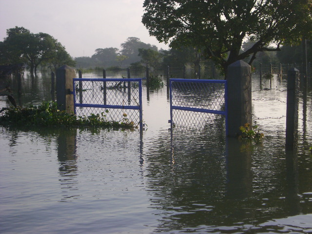 several gates and gate posts are flooded over by water