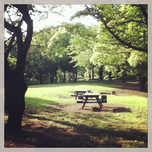 two picnic benches sit in the shade under the trees