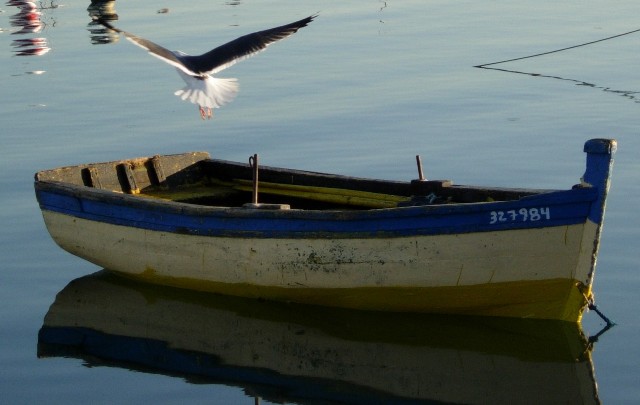 a seagull landing on a small boat in the water