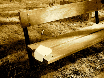 a park bench sitting next to a grassy area