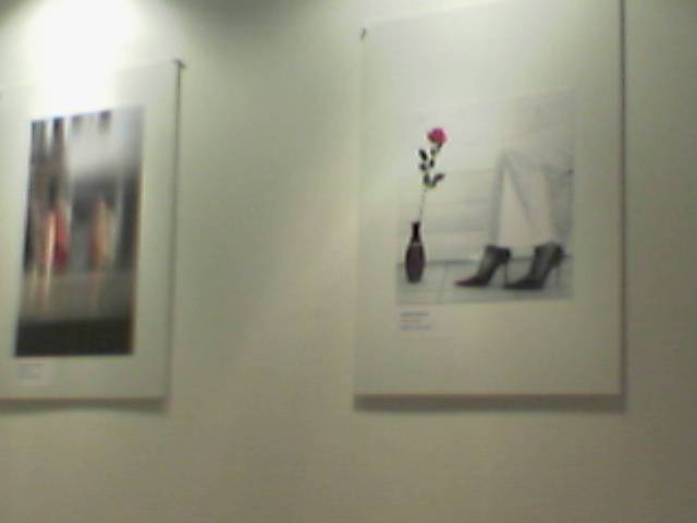 two pographs hanging on a wall each with a single flower