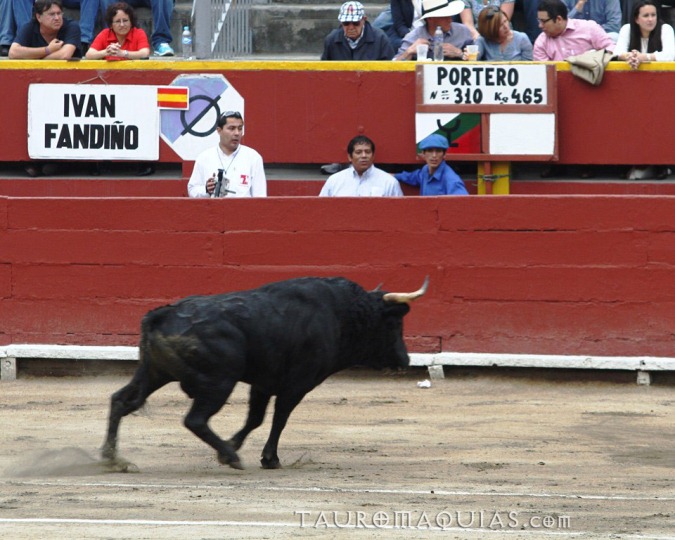 a bull is in a bullring ring while people watch
