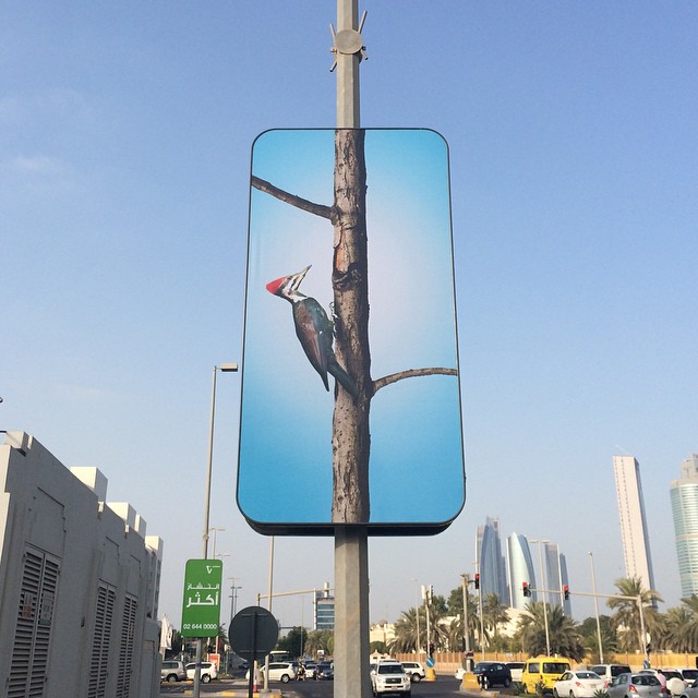 an advertit for a bird on the side of a pole
