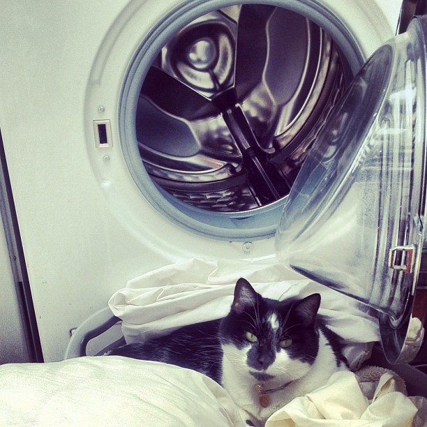 a black and white cat is laying on the bed next to a washing machine