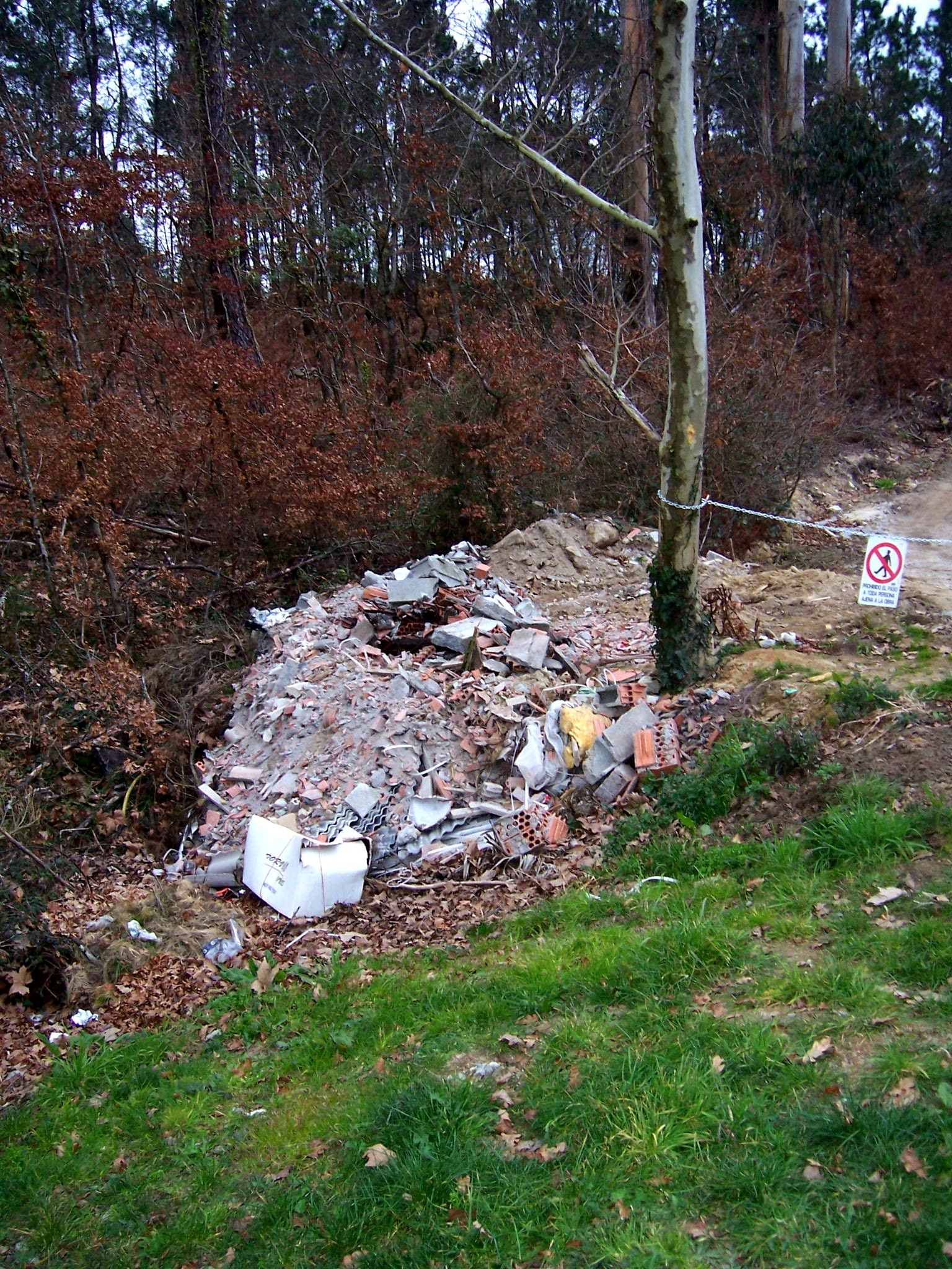 a trash pile is near trees in a forest