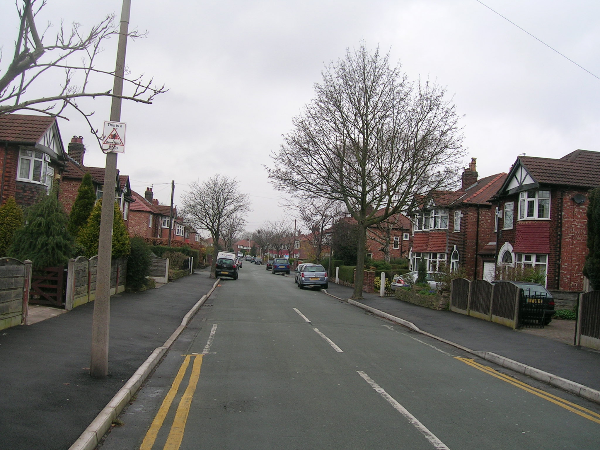 a street lined with houses on both sides of it