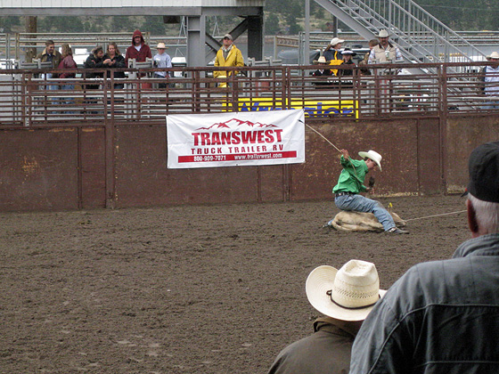 a rodeo rider on a bucking horse at the ranch