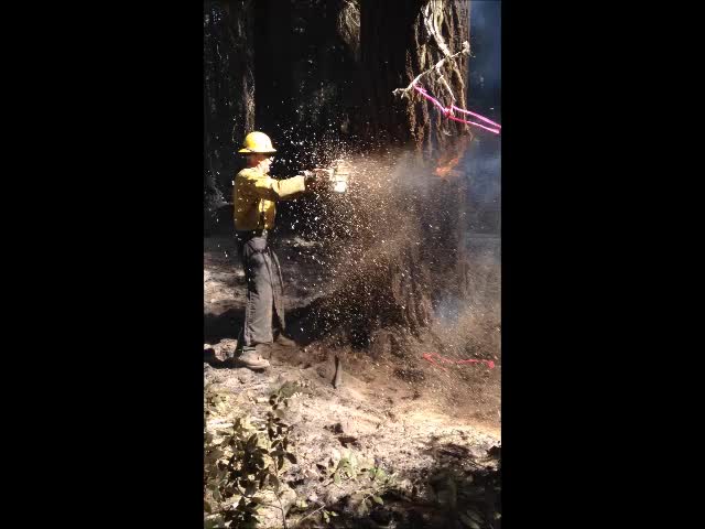 a fireman spraying out water from his truck