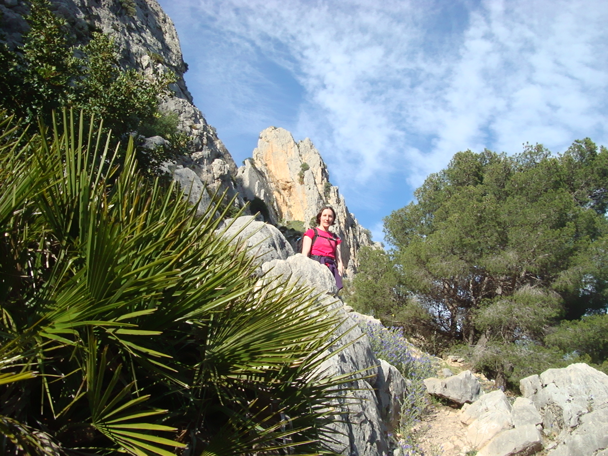 woman hikers up to a mountain, on the trail