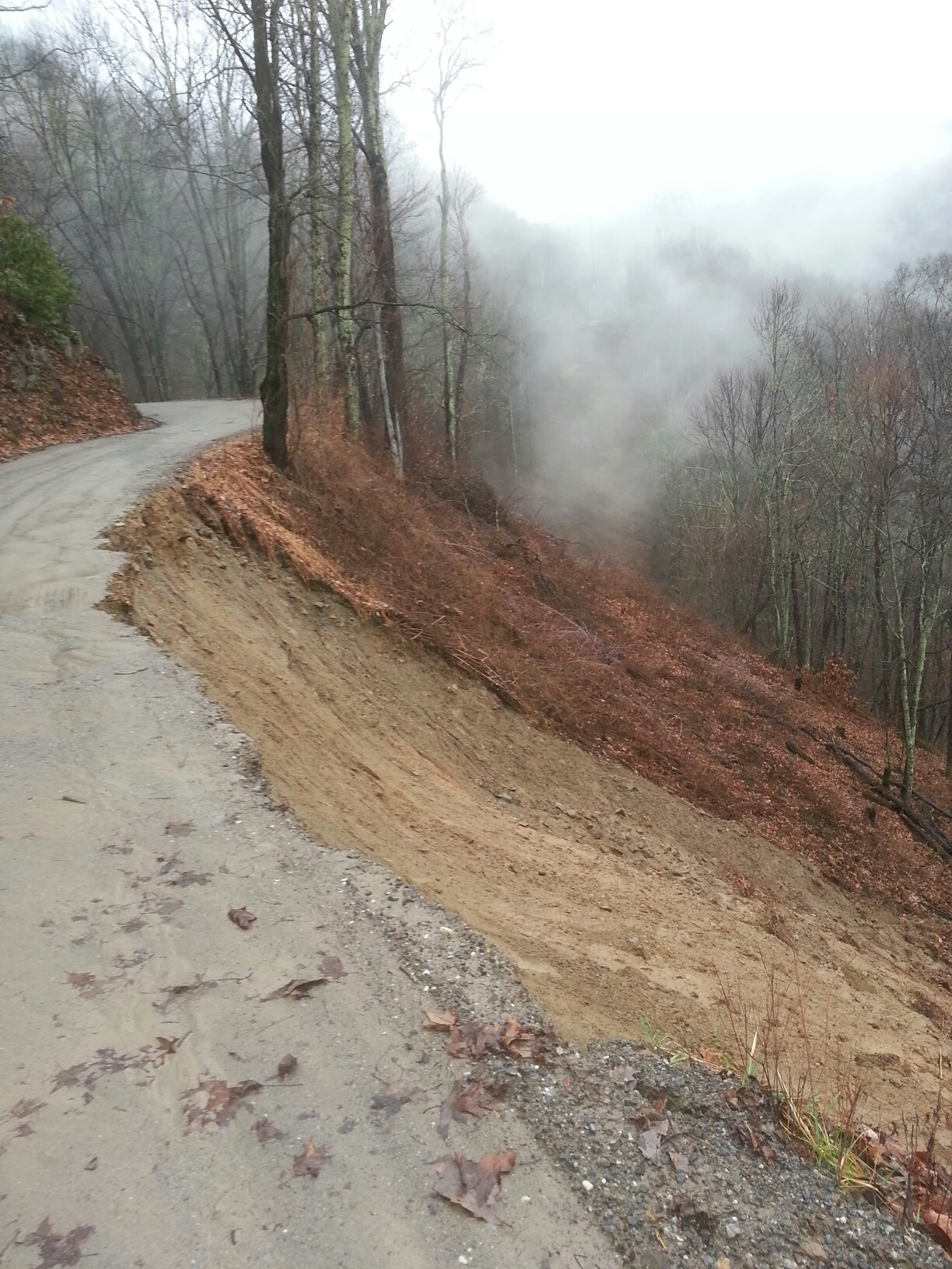 the fog is rising above a narrow road