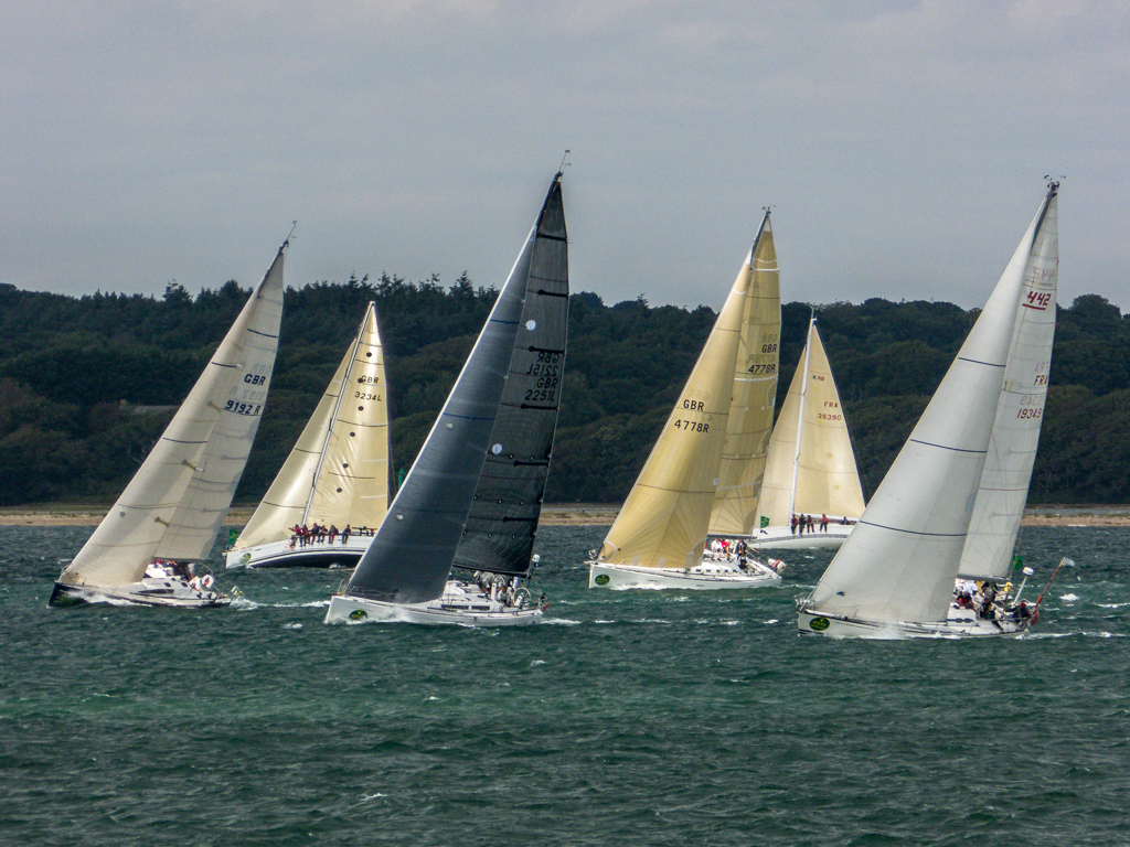 a group of sailboats sail down the ocean