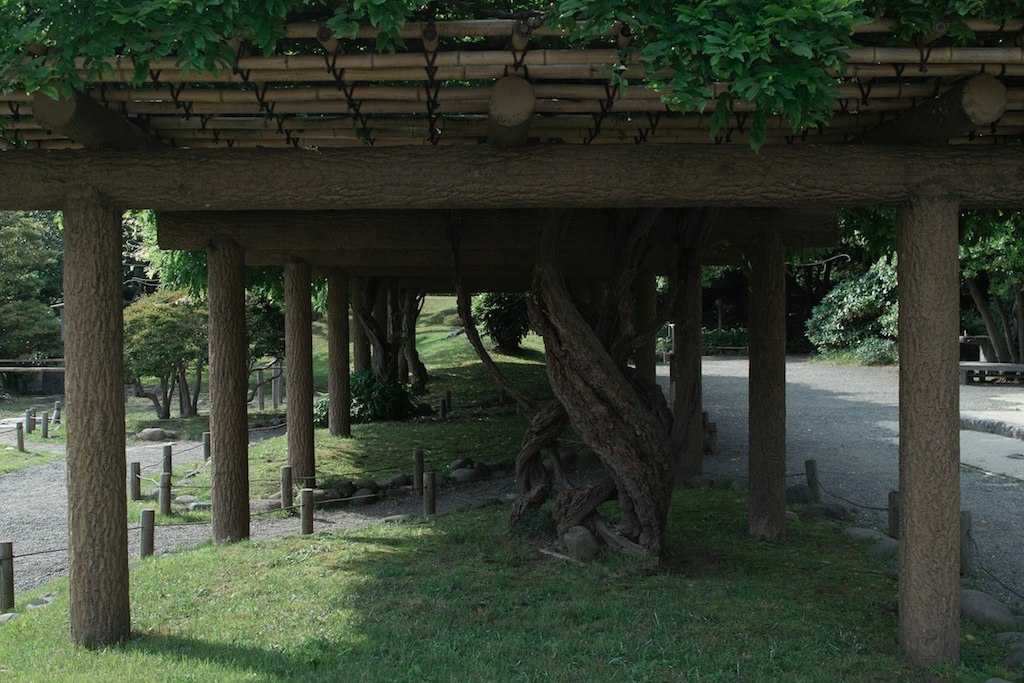 an underpass with a tree growing from it