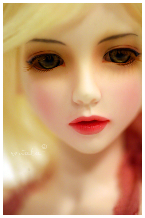close up pograph of an elegant doll's face