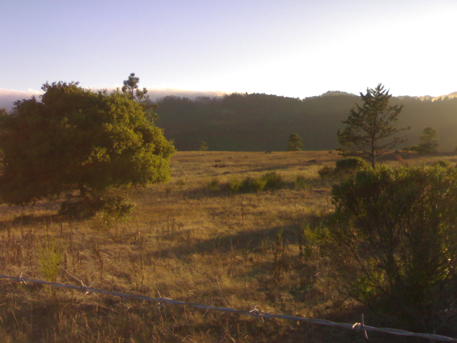 a field with trees, and mountains in the distance