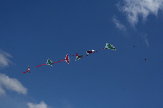 kites with different colored flags are in a line