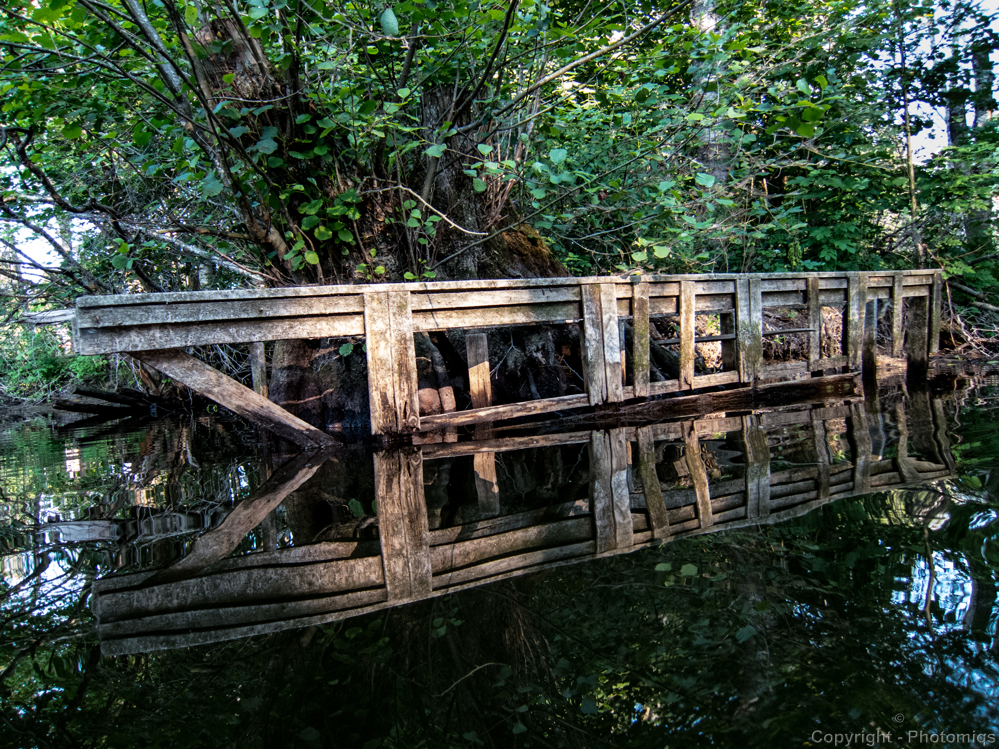 a wooden bridge stretching across some water next to a forest