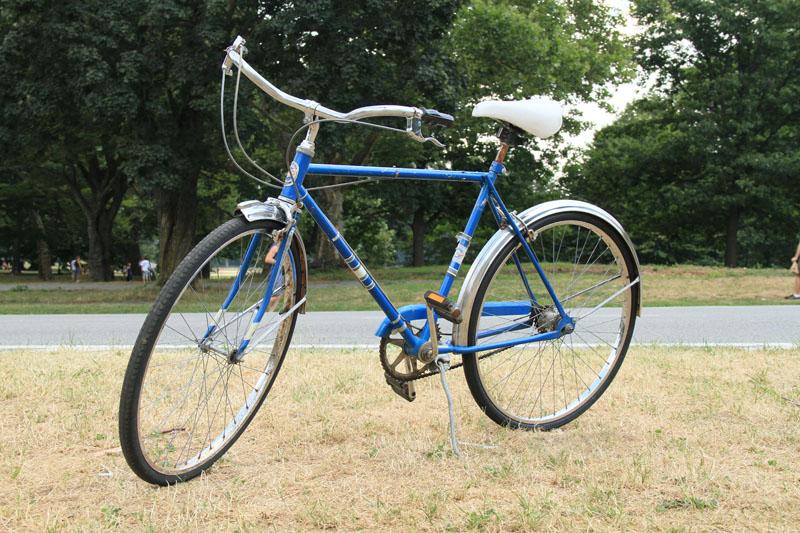 a blue and white bicycle parked in the grass