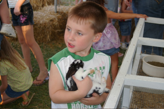 small boy holding two animals in his hands