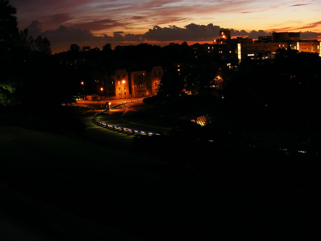 the night view of the city from the hill above