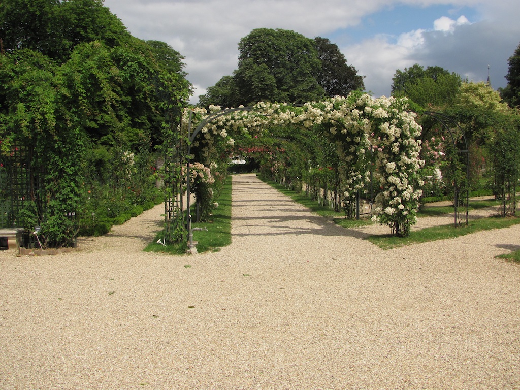 a large dirt path leads to the entrance of a lush garden