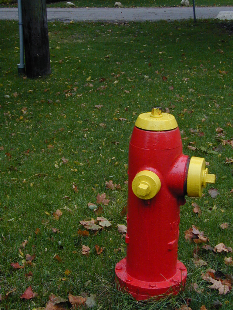 a red fire hydrant that is sitting on the grass