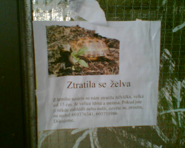 a sign stating that a small turtle is in the wild