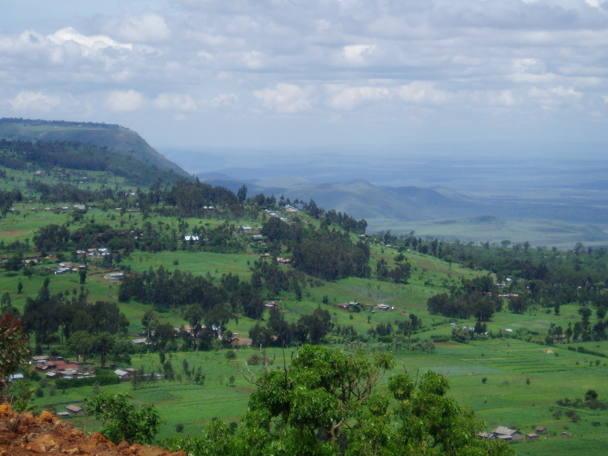 a lush green valley surrounded by a valley of lush hills