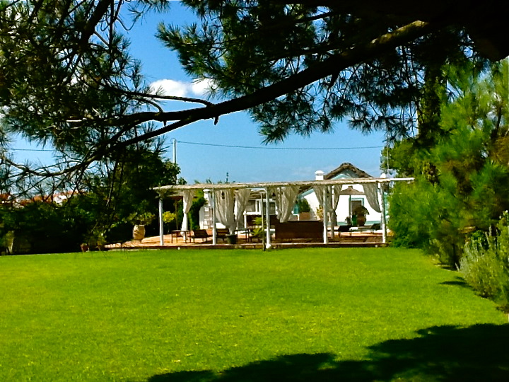 a picnic pavilion in the middle of some green grass