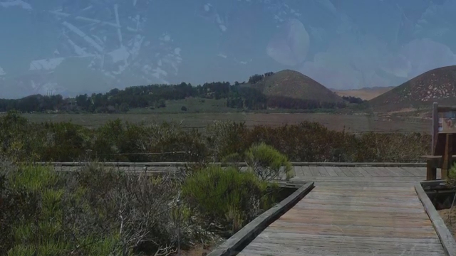 there is a wooden bridge leading to a distant field