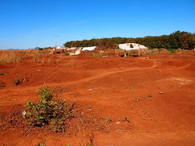 a dirt field and trees in the background