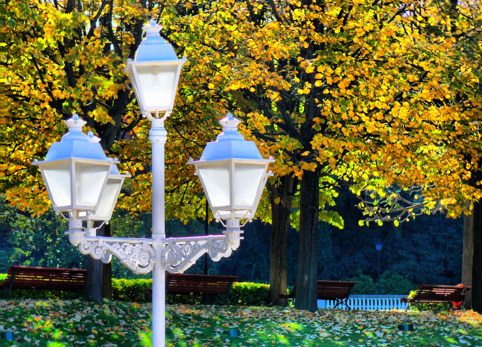 two white street lamps in a park setting