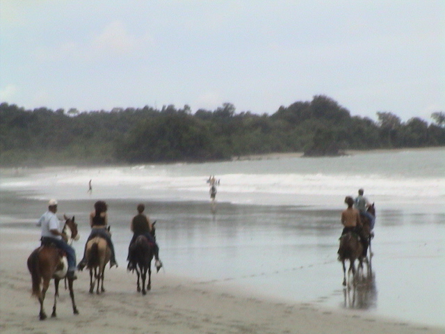 a group of people riding horses across a beach