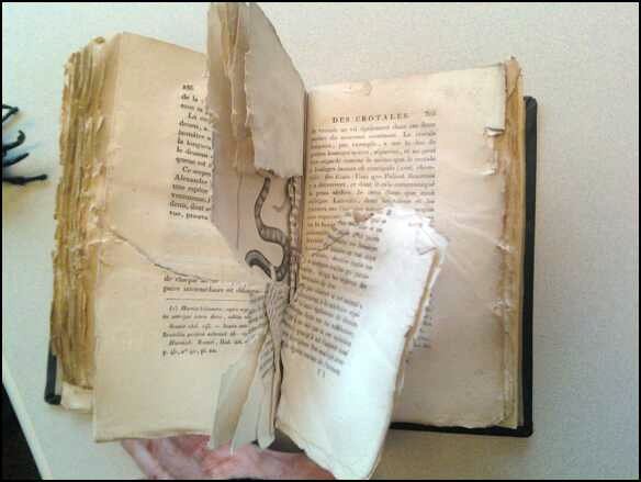a person is holding an open book with a torn page