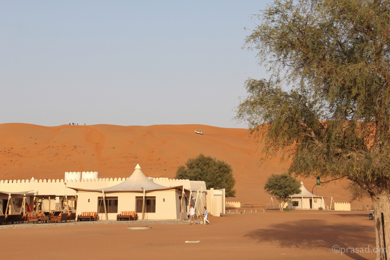 some buildings in the middle of desert with trees