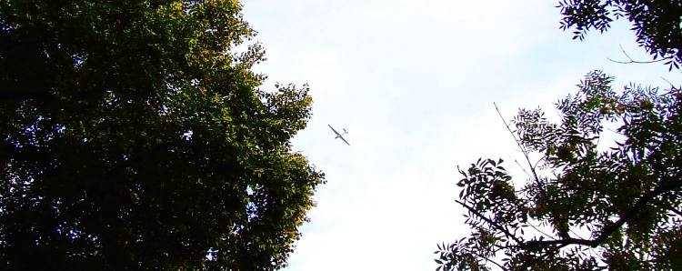 an airplane flies through a bright blue sky