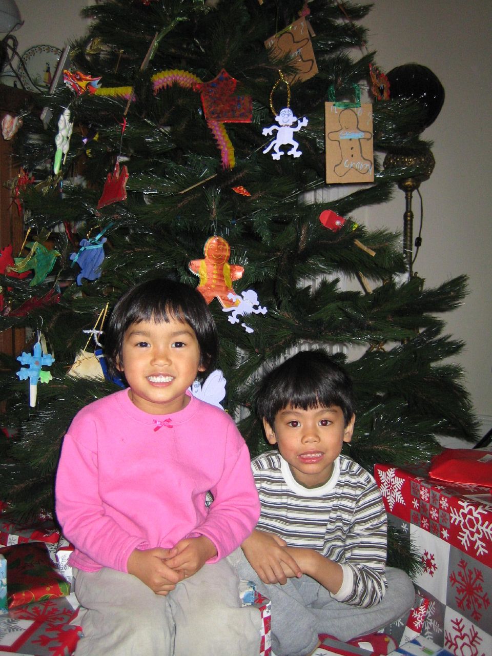 two s are sitting in front of the christmas tree