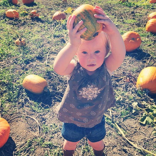 a small child standing next to pumpkins in a field