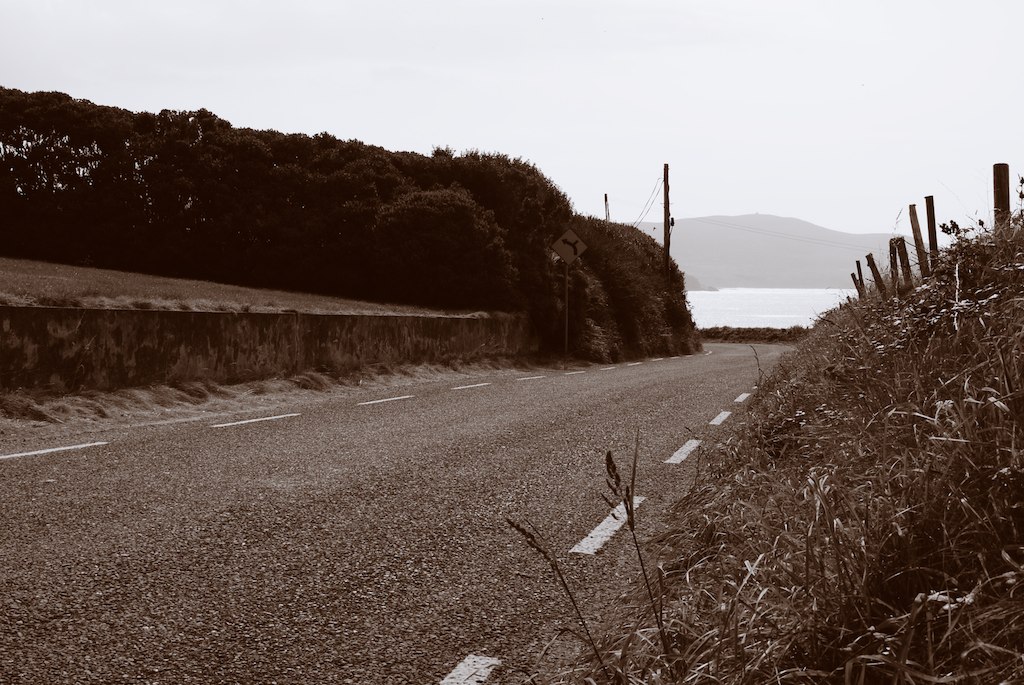 a black and white po of a country road