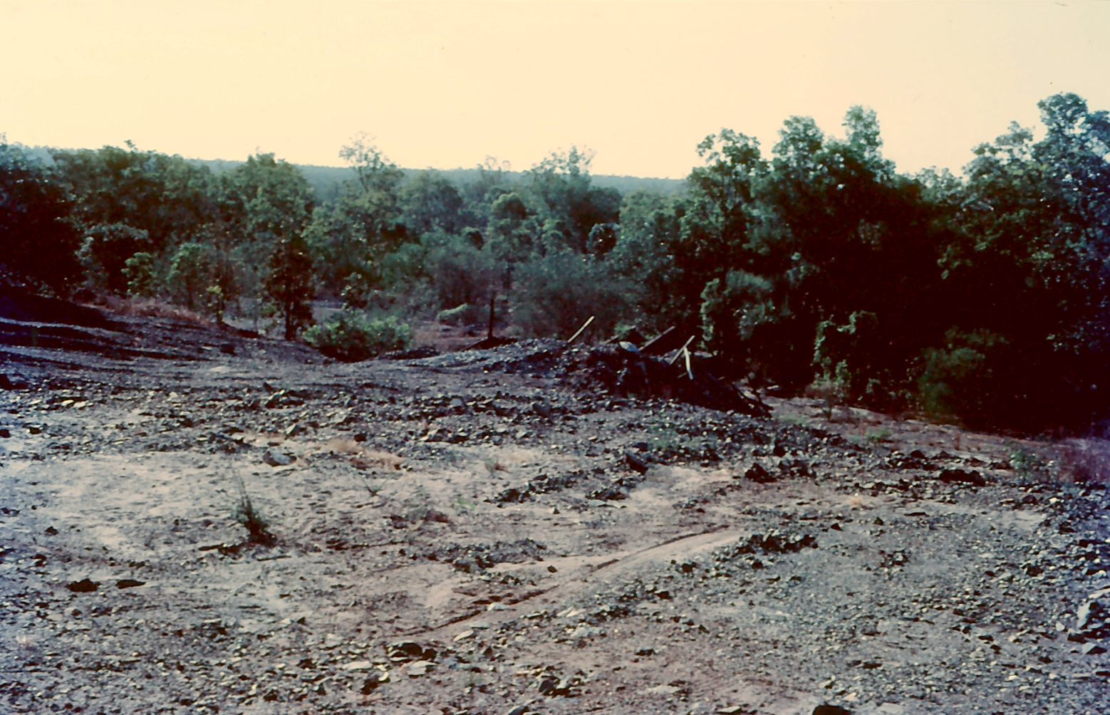 a view of some woods on a hillside