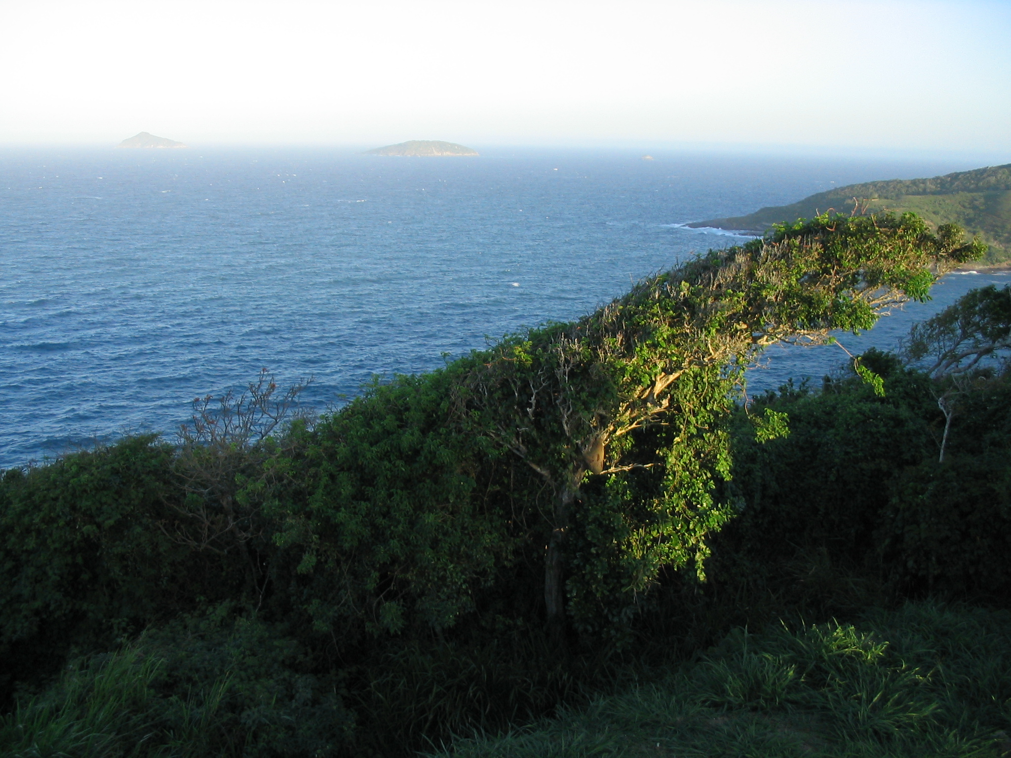 a scenic view of an ocean with a hill