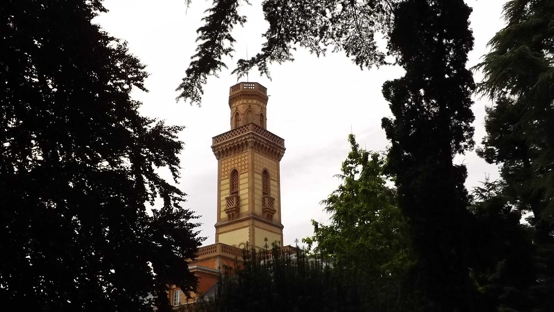 a clock tower is seen through some trees